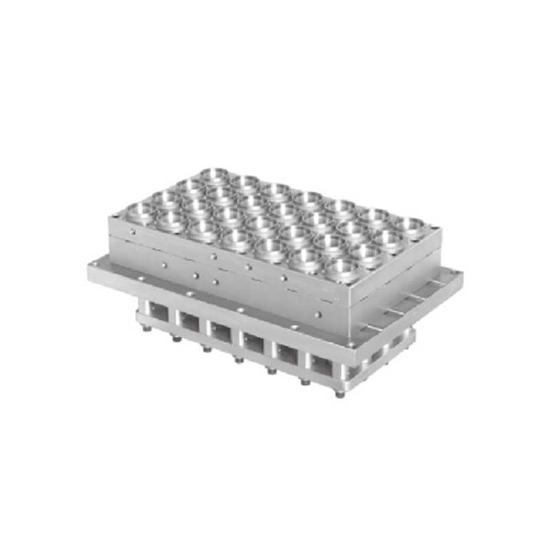 থার্মোফর্মিং প্লাস্টিক কাপ/প্লেট/পাত্রে/বাক্স/ids াকনা ছাঁচ