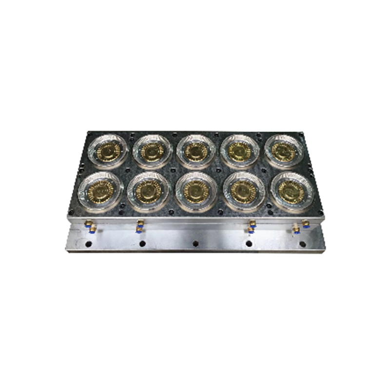 থার্মোফর্মিং প্লাস্টিক কাপ/প্লেট/পাত্রে/বাক্স/ids াকনা ছাঁচ